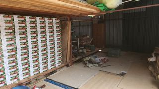 김준한님의 자두 · 영농일지 작성글 사진