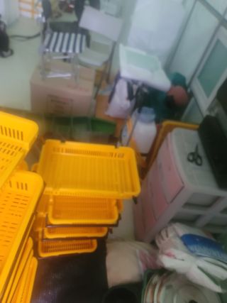 박치문님의 블루베리 · 영농일지 작성글 사진