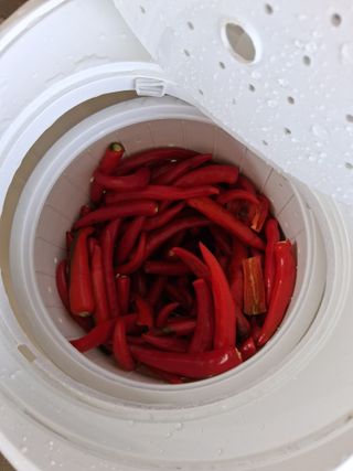 양파15542님의 기타작물 · 영농일지 작성글 사진