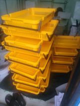 팜모닝 블루베리·영농일지 게시글 이미지