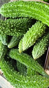 팜모닝 기타작물·영농일지 게시글 이미지