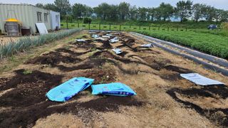 최경숙님의 기타작물 · 영농일지 작성글 사진