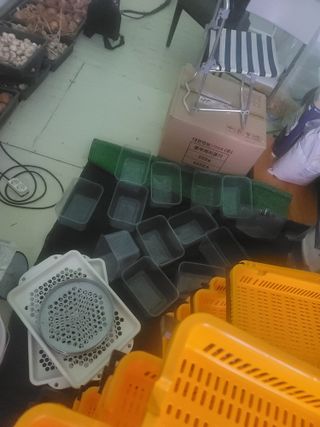 박치문님의 블루베리 · 영농일지 작성글 사진