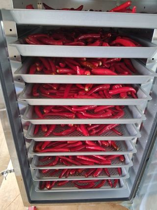 양파15542님의 기타작물 · 영농일지 작성글 사진