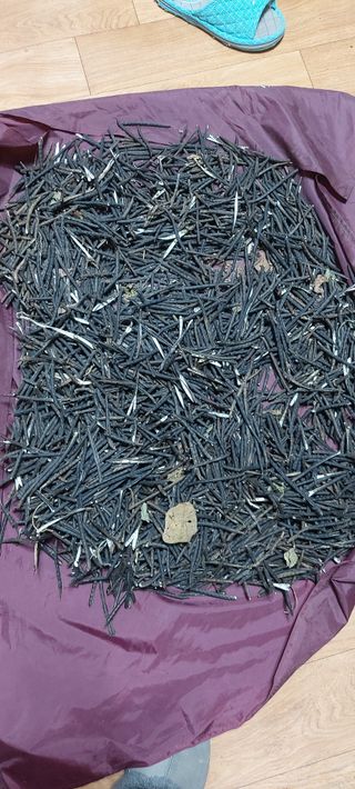 즐겁게 일하는조시형님의 기타작물 · 영농일지 작성글 사진