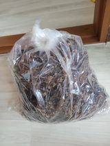 팜모닝 기타작물·영농일지 게시글 이미지