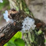 팜모닝 고추·영농일지 게시글 이미지