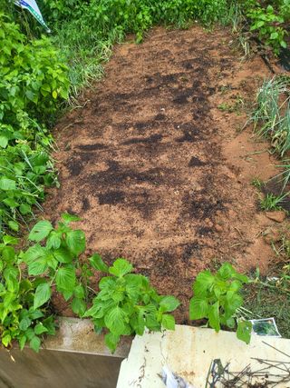 최병우님의 기타작물 · 영농일지 작성글 사진