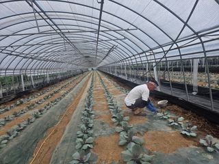 기본에 충실님의 기타작물 · 영농일지 작성글 사진