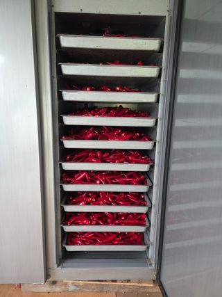 류수천님의 고추 · 영농일지 작성글 사진