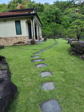 솔방농원님의 기타작물 · 영농일지 작성글 사진