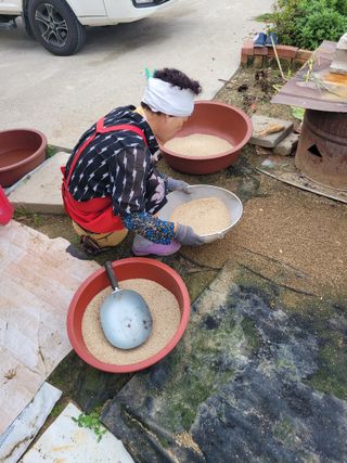아리랑님의 참깨 · 영농일지 작성글 사진