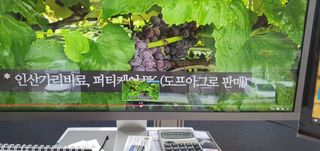 박상중님의 기타작물 · 영농일지 작성글 사진