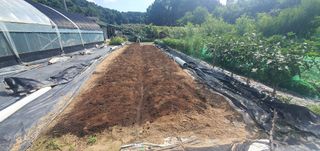 박상중님의 기타작물 · 영농일지 작성글 사진