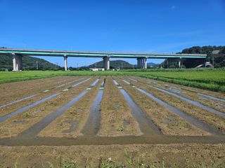 박원봉님의 콩 · 영농일지 작성글 사진