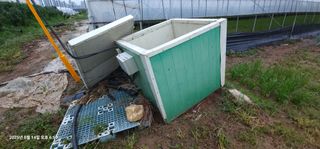 이장호님의 고추 · 영농일지 작성글 사진