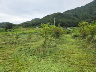 마이산 호두농원님의 기타작물 · 영농일지 작성글 사진
