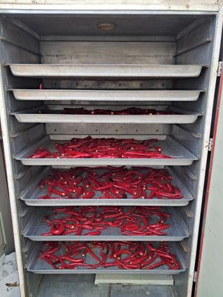 전희분님의 기타작물 · 영농일지 작성글 사진