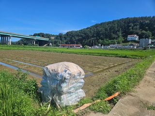 박원봉님의 콩 · 영농일지 작성글 사진