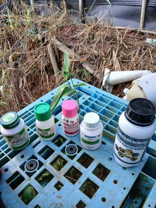 김형수님의 기타작물 · 영농일지 작성글 사진