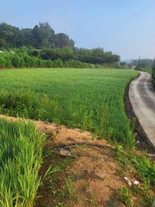최병우님의 기타작물 · 영농일지 작성글 사진