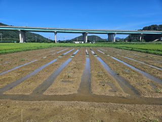 박원봉님의 콩 · 영농일지 작성글 사진