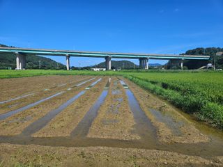 박원봉님의 콩 · 영농일지 작성글 사진
