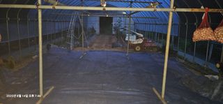 장용선 사진작가농부님의 기타작물 · 영농일지 작성글 사진