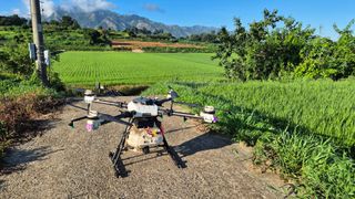 임상옥님의 벼 · 영농일지 작성글 사진