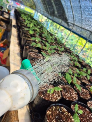 이상록님의 기타작물 · 영농일지 작성글 사진