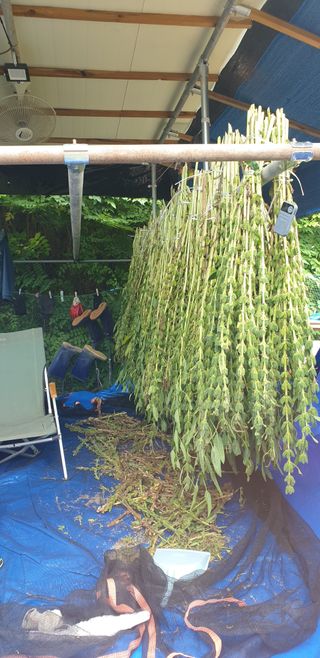 정천복님의 기타작물 · 영농일지 작성글 사진