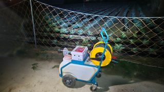 김남근님의 양배추 · 영농일지 작성글 사진