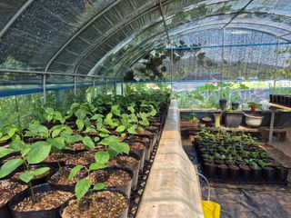 이상록님의 기타작물 · 영농일지 작성글 사진