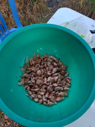 주재필님의 파 · 영농일지 작성글 사진