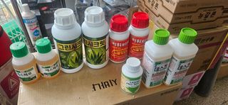 김남근님의 양배추 · 영농일지 작성글 사진