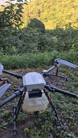 팜모닝 감·영농일지 게시글 이미지