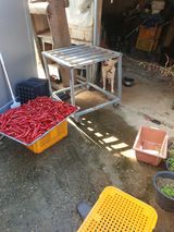 팜모닝 고추·영농일지 게시글 이미지