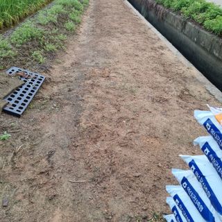 백현호님의 기타작물 · 영농일지 작성글 사진