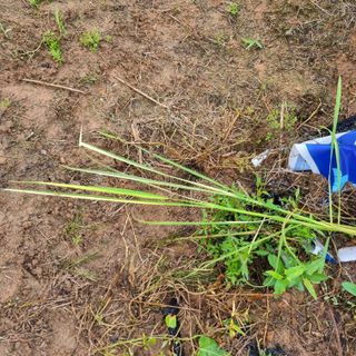 백현호님의 기타작물 · 영농일지 작성글 사진