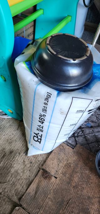 귤22640님의 귤 · 영농일지 작성글 사진