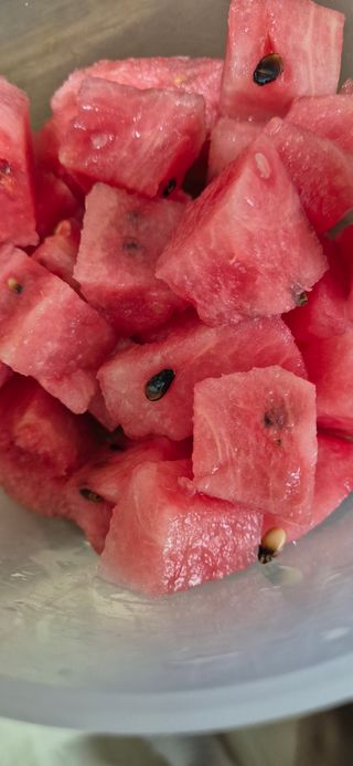 봉림동 태진농장님의 기타작물 · 영농일지 작성글 사진