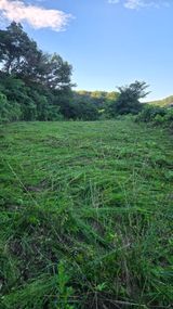 팜모닝 감·영농일지 게시글 이미지