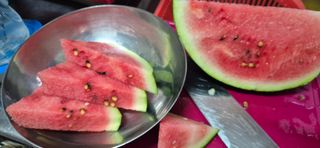 봉림동 태진농장님의 기타작물 · 영농일지 작성글 사진