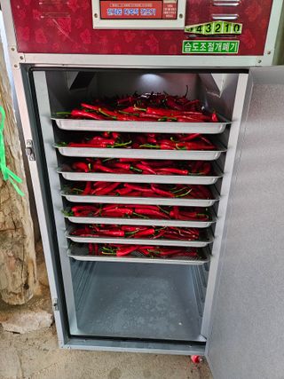 감7768님의 고추 · 영농일지 작성글 사진