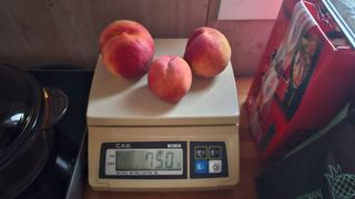 장정규님의 복숭아 · 영농일지 작성글 사진