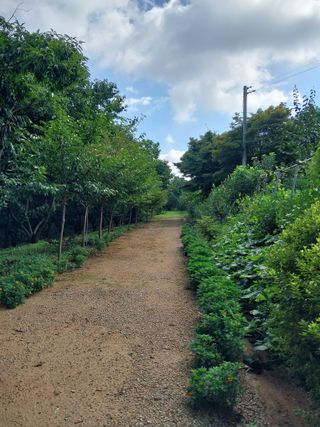 아산이쁘니95960님의 기타작물 · 영농일지 작성글 사진