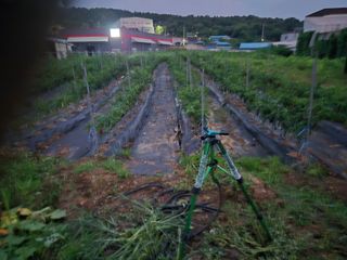 뚜벅이님의 기타작물 · 영농일지 작성글 사진