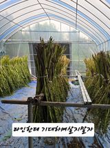 팜모닝 참깨·영농일지 게시글 이미지