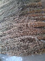 팜모닝 기타작물·영농일지 게시글 이미지