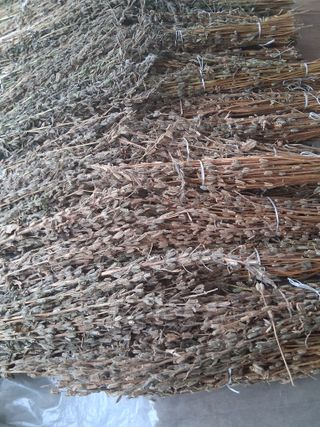 양파15542님의 기타작물 · 영농일지 작성글 사진